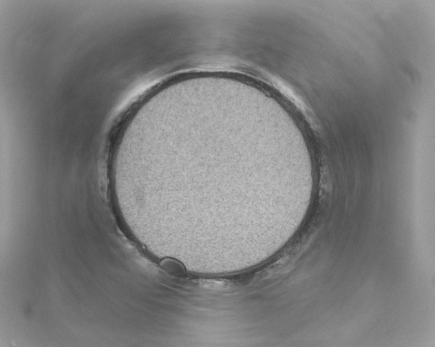 X0000114121456200911161129