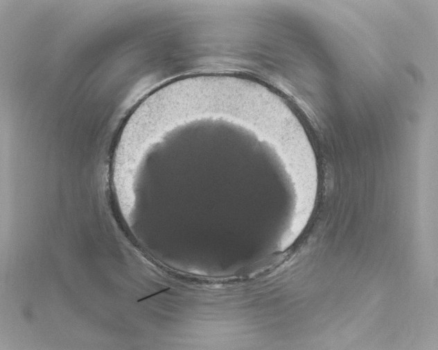 X0000114121459200911161129