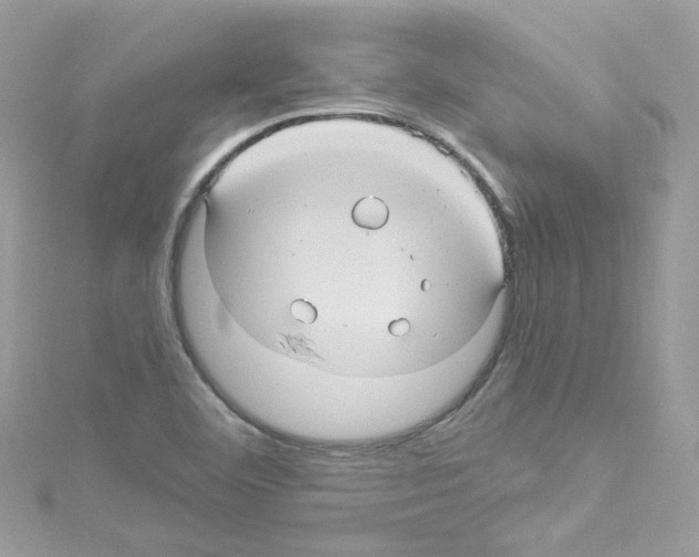 X0000114121460200911161129