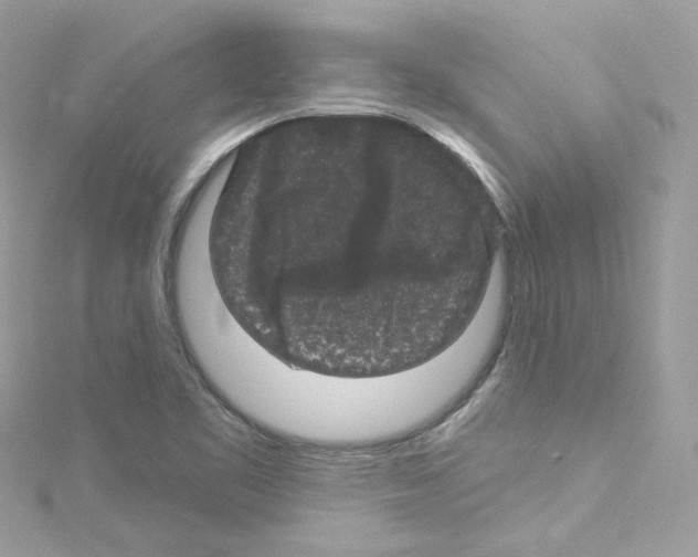 X0000114121461200911161129