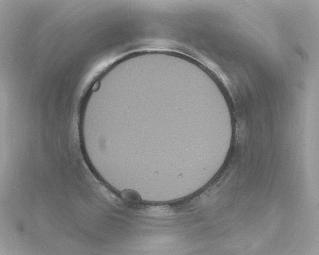 X0000114121464200911161129