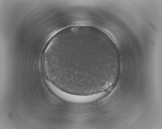 X0000114121465200911161129