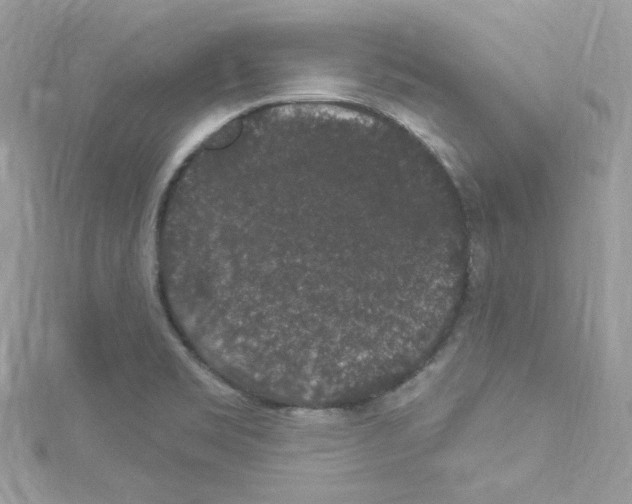 X0000114121469200911161129