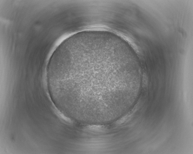 X0000114121470200911161129