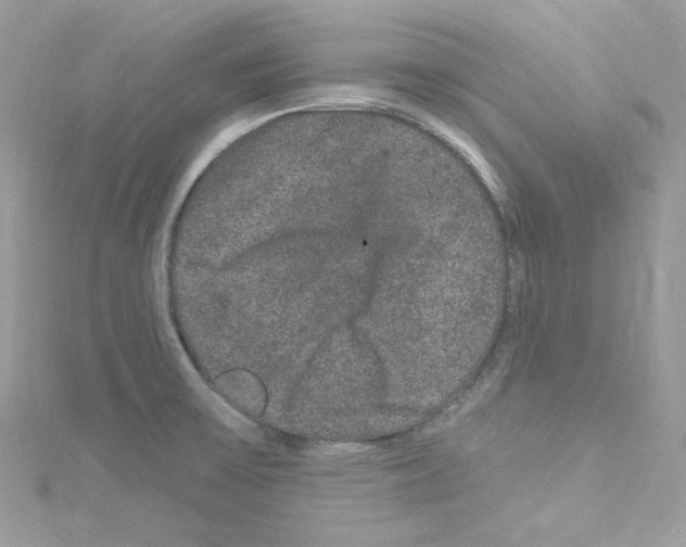 X0000114121475200911161129