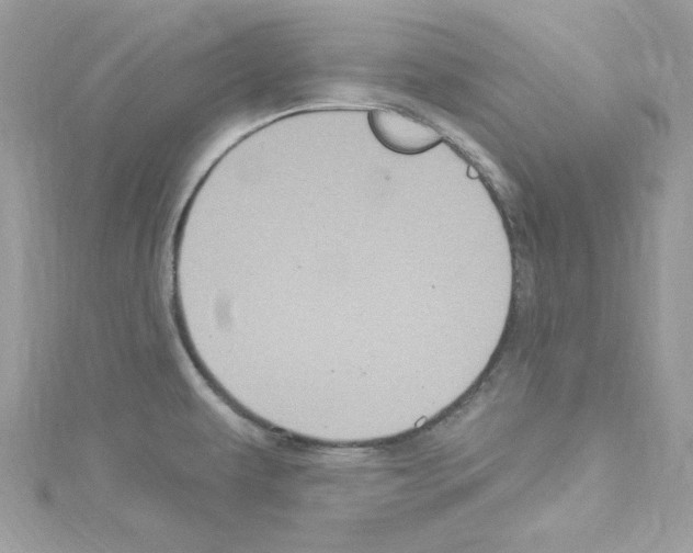 X0000114121479200911161129