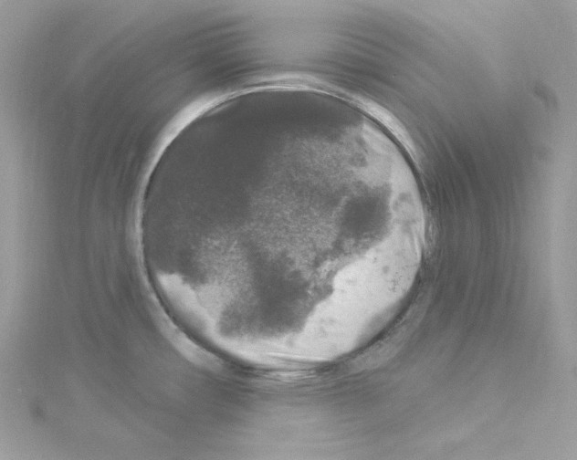 X0000114121482200911161129