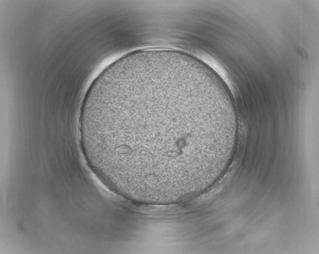 X0000114121485200911161129