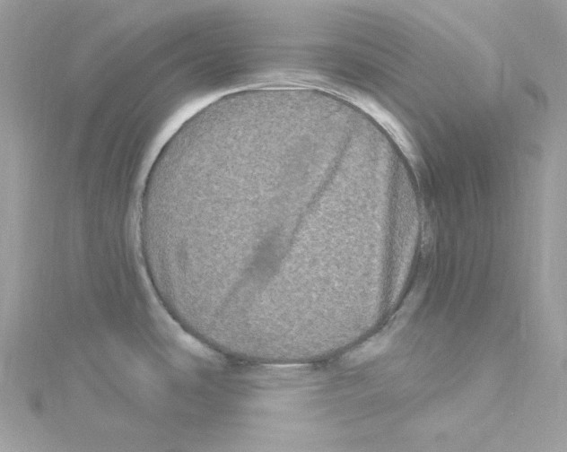 X0000114121486200911161129