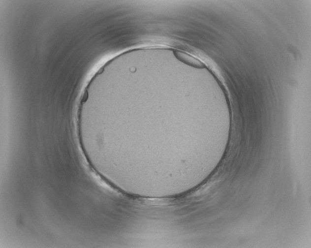 X0000114121488200911161129