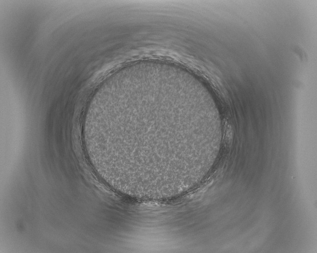 X0000114121489200911161128