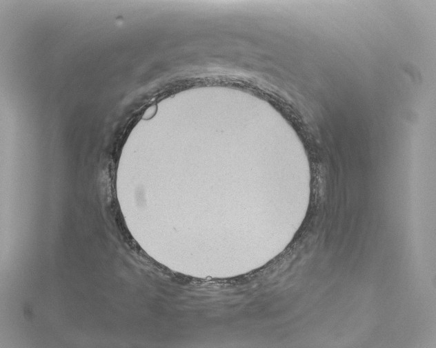 X0000114121493200911161128