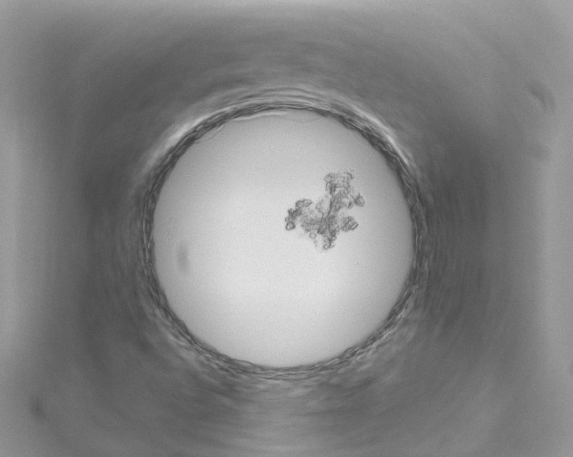 X0000114121496200911161128