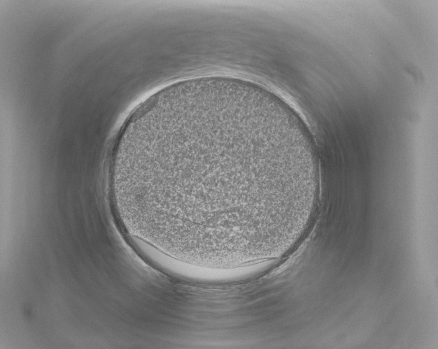 X0000114121500200911161128