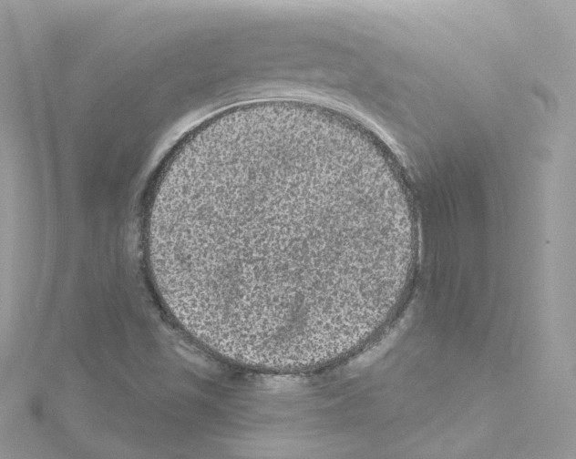 X0000114121501200911161128