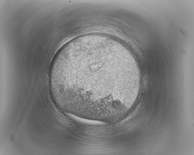 X0000114121505200911161128