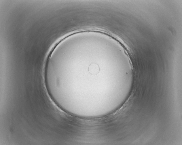 X0000114121508200911161128