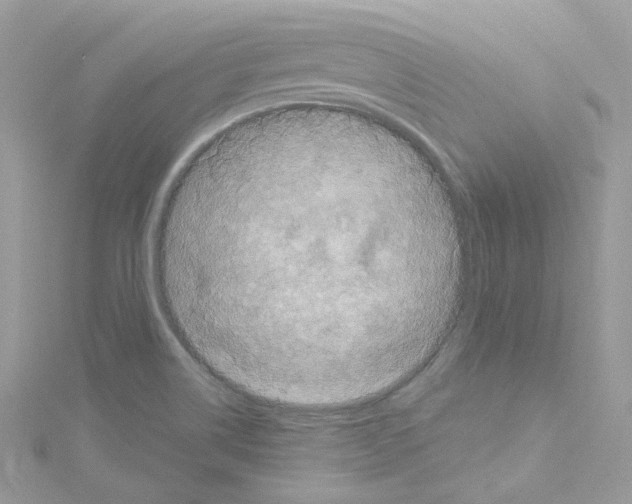 X0000114121514200911161128