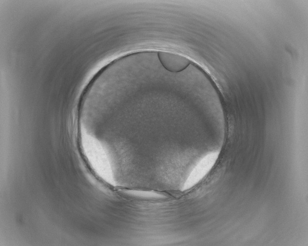 X0000114121515200911161128