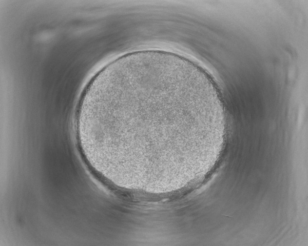 X0000114121517200911161128