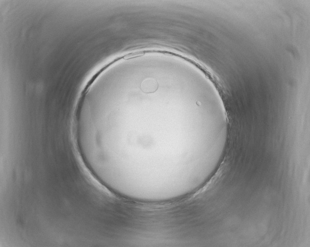 X0000114121518200911161128