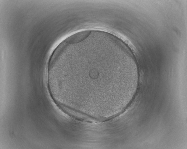 X0000114121520200911161128