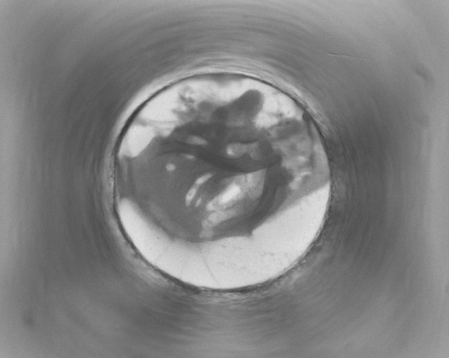 X0000114121522200911161128