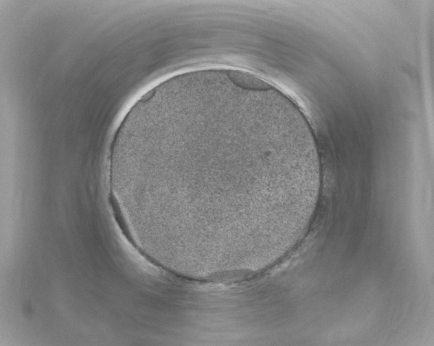 X0000114121524200911161128