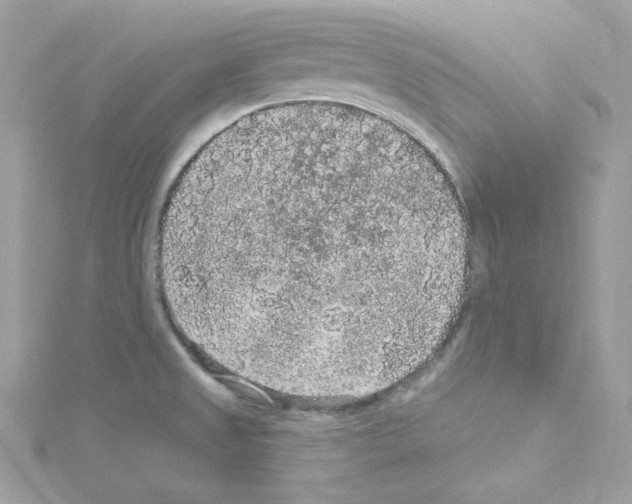 X0000114121525200911161128