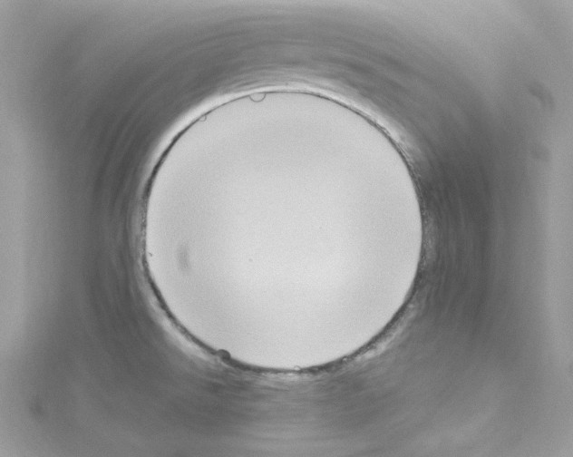 X0000114121526200911161128