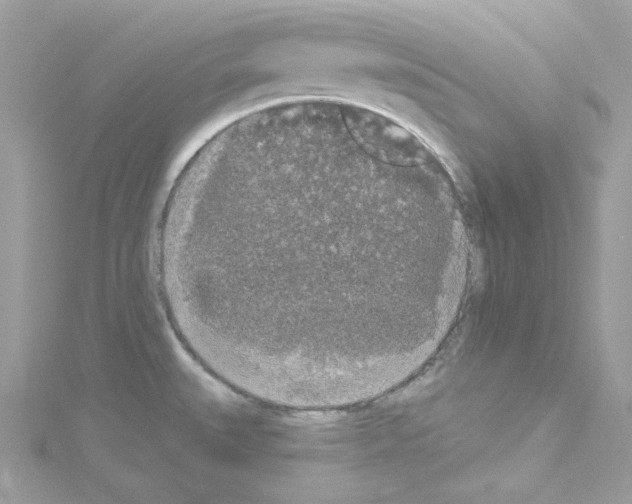 X0000114121527200911161128