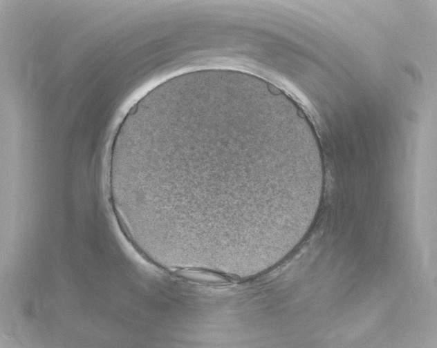 X0000114121528200911161128