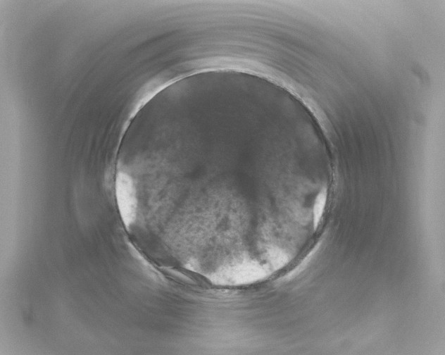 X0000114121529200911161128