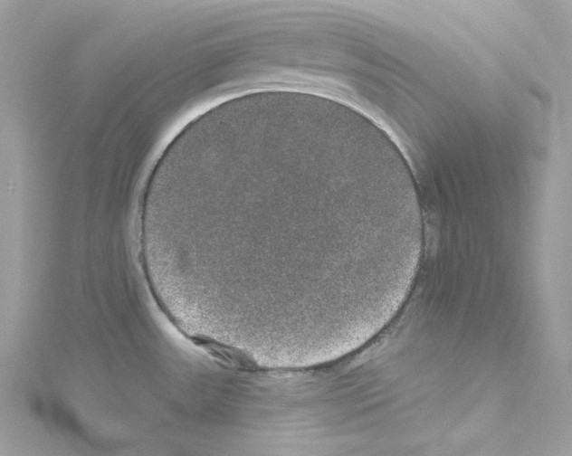 X0000114121531200911161128