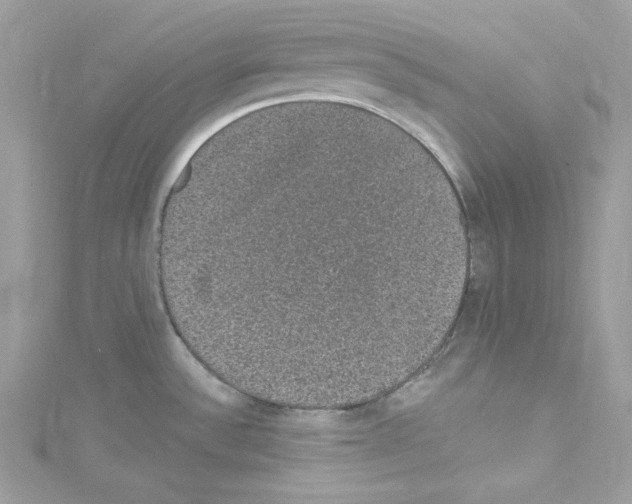 X0000114121532200911161128