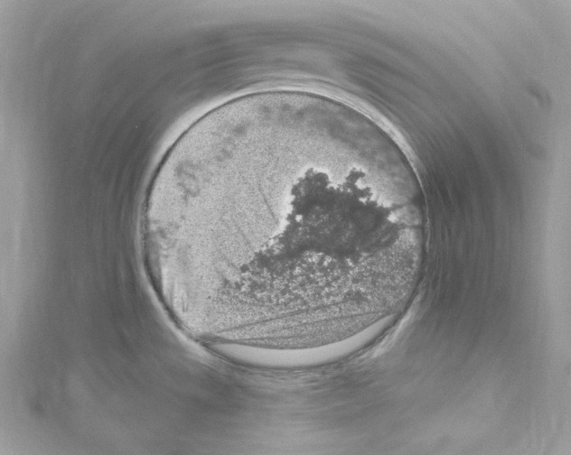 X0000114121533200911161129