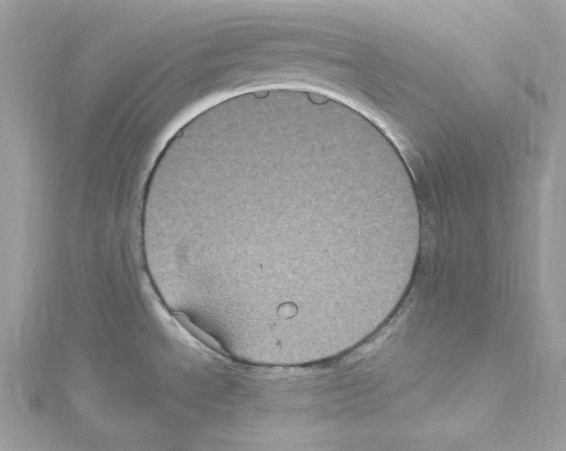 X0000114121534200911161129