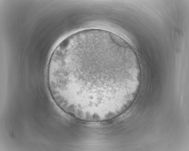 X0000114121536200911161129