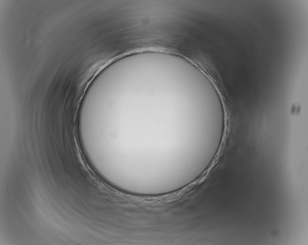 X0000114130001200910081013