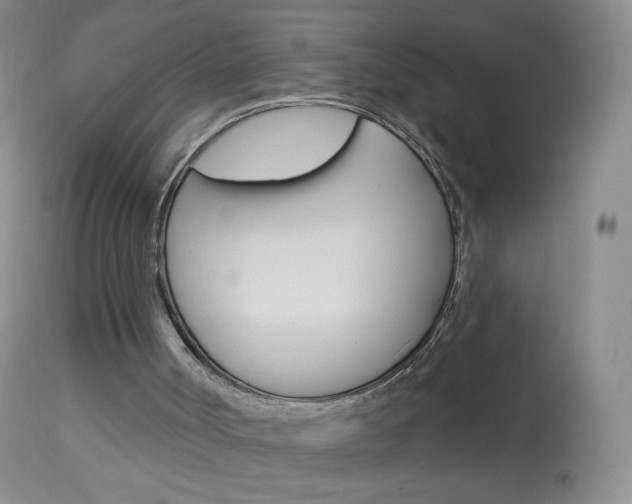 X0000114130002200910081013
