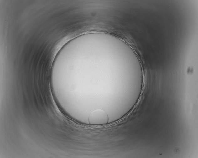 X0000114130003200910081013