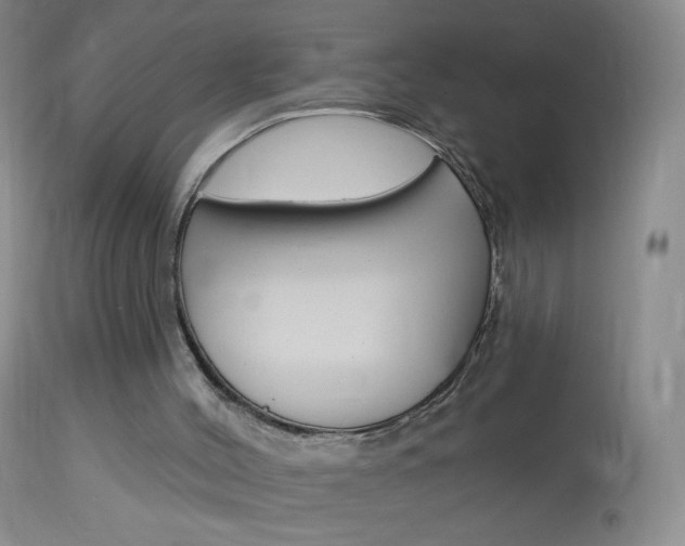 X0000114130004200910081013