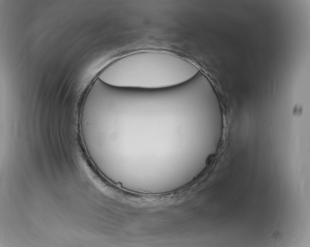 X0000114130005200910081013