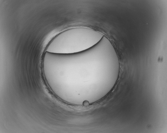 X0000114130006200910081013