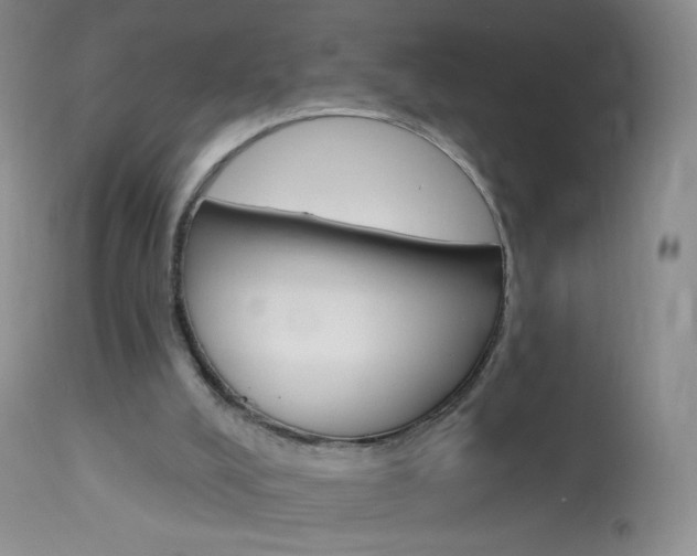 X0000114130008200910081013