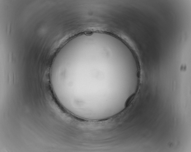 X0000114130009200910081013