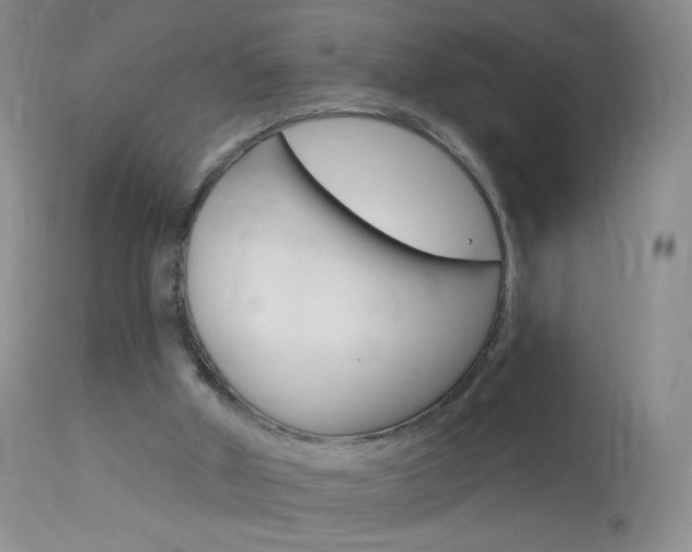 X0000114130010200910081013