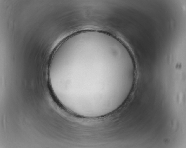 X0000114130011200910081013