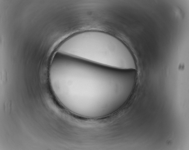 X0000114130012200910081013