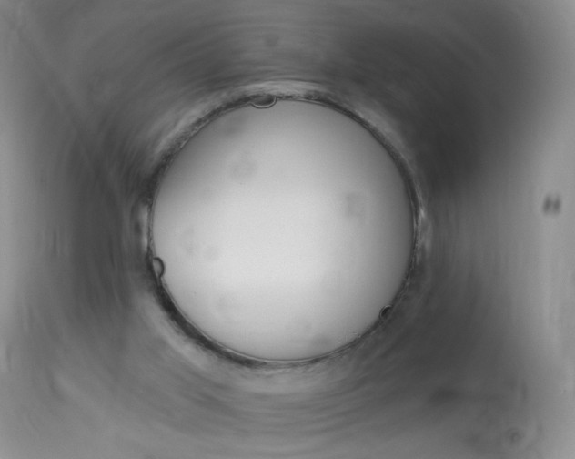 X0000114130013200910081013